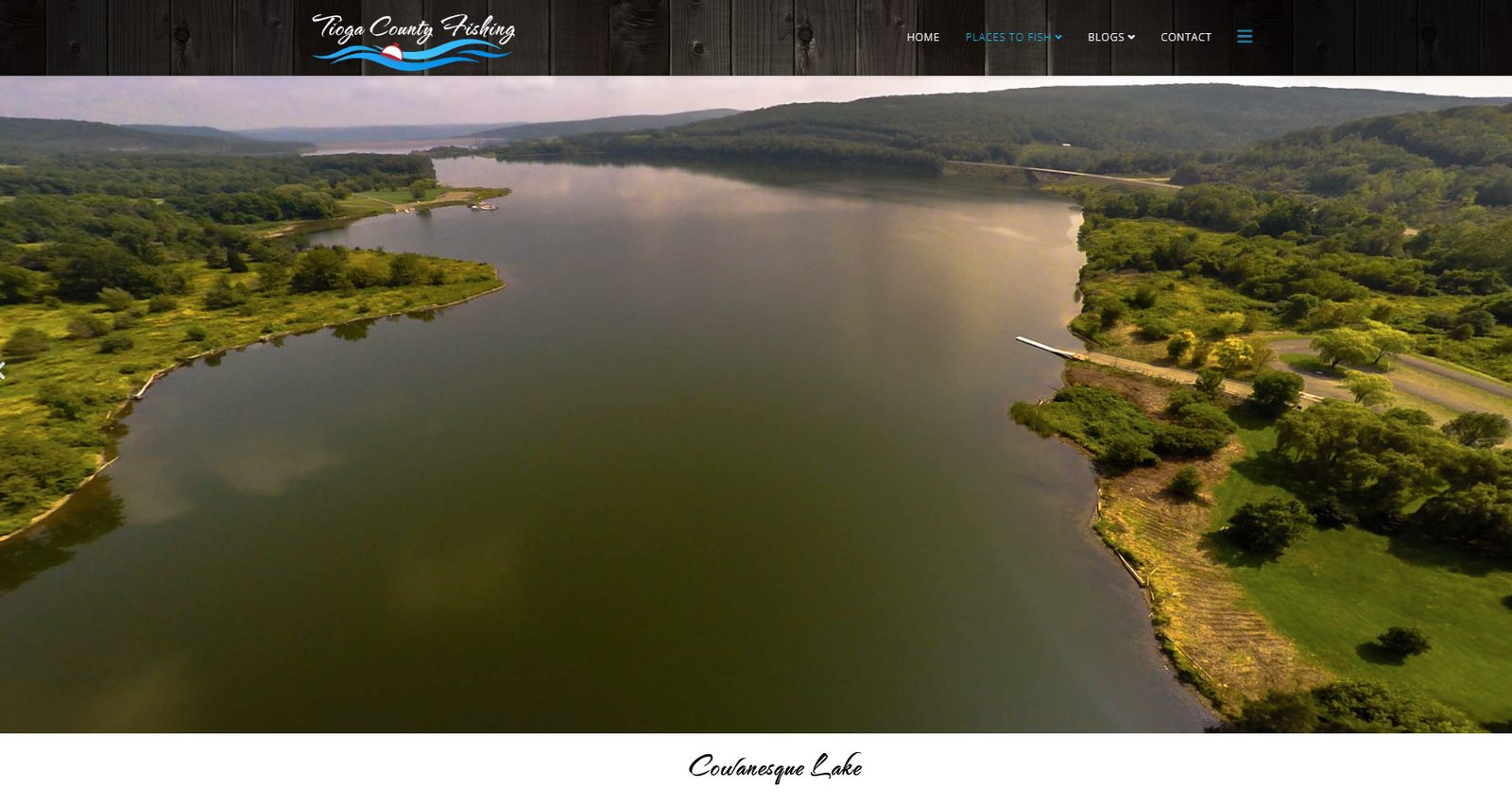 Cowanesque Lake