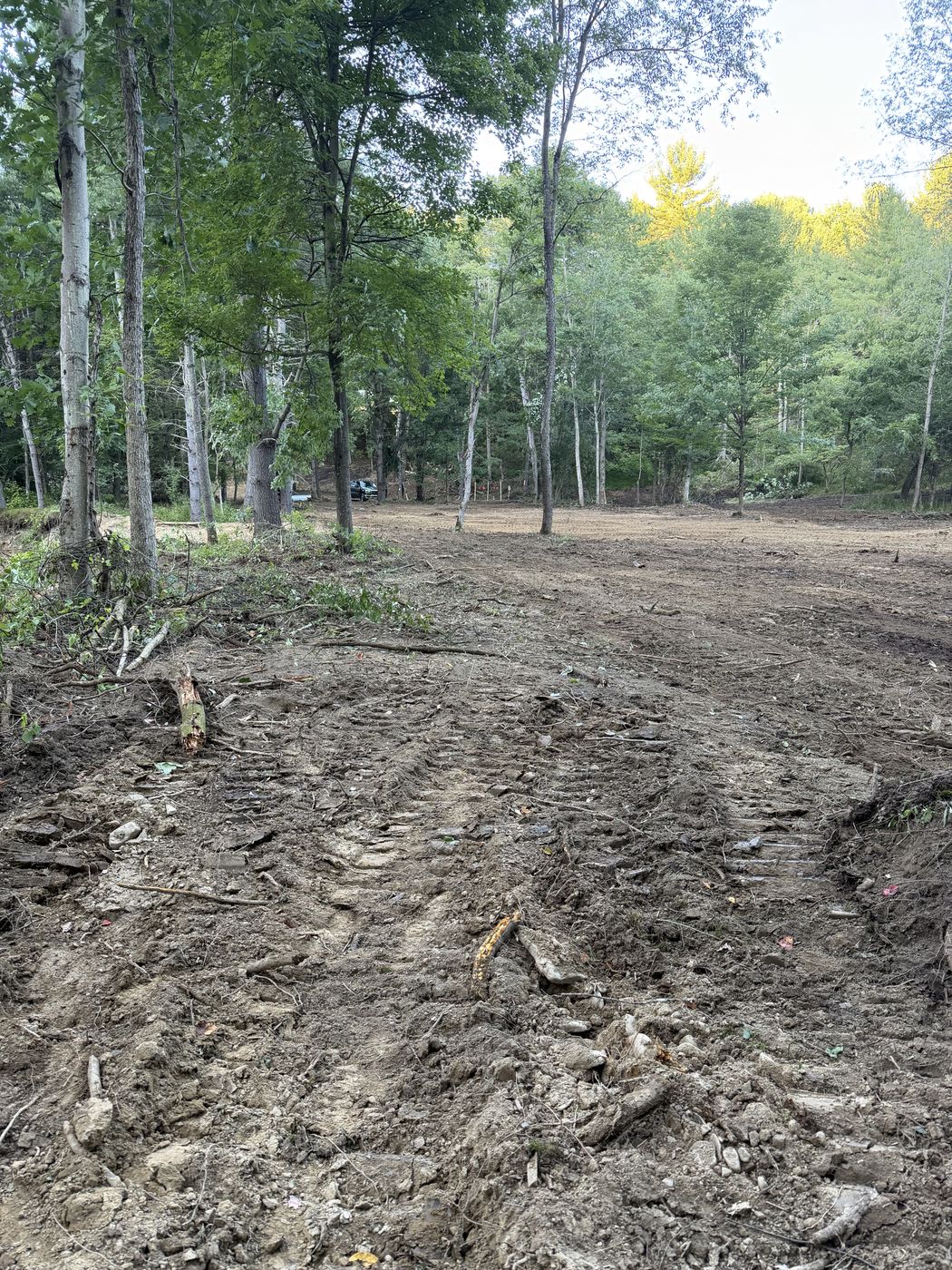 Walking the property